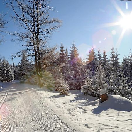 Rennsteighotel Herrnberger Hof นอยเฮาส์ อัม เรนน์เว็ก ภายนอก รูปภาพ